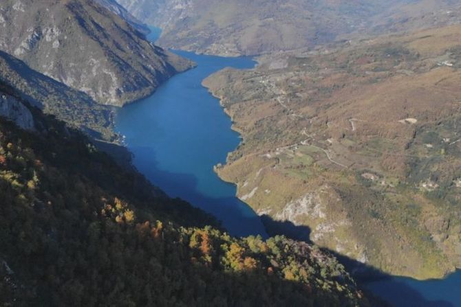 Tara, Drina