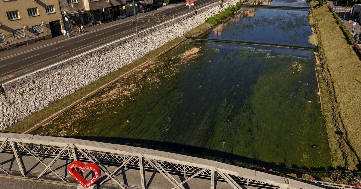 Drama u Sarajevu: Nepoznata osoba upala u Miljacku, potraga u toku