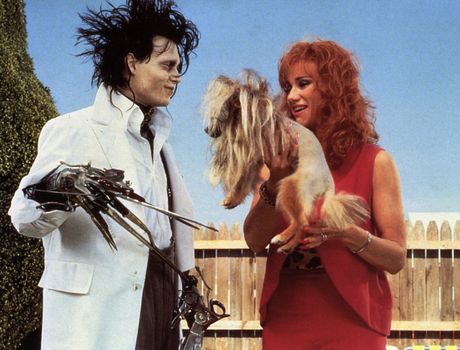 Edward the Scissorhands, Edvard Makazoruki