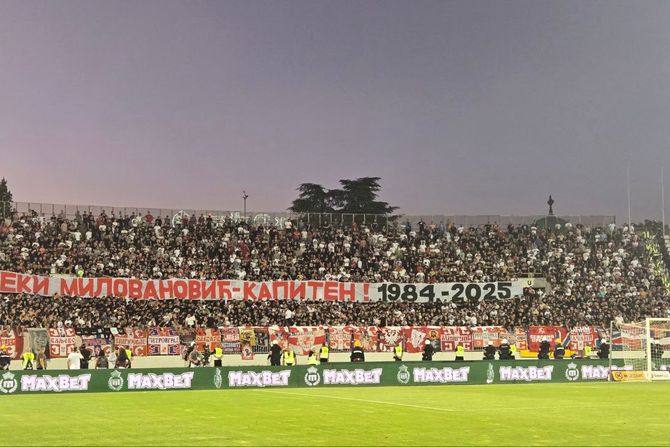 Dejan Milovanović, Delije Dejan Milovanović, Delije