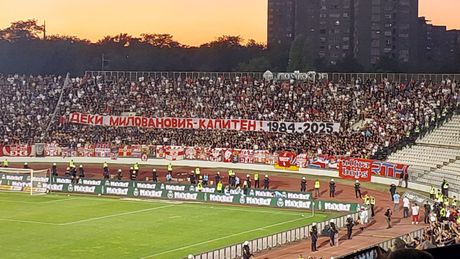 Dejan Milovanović, Delije