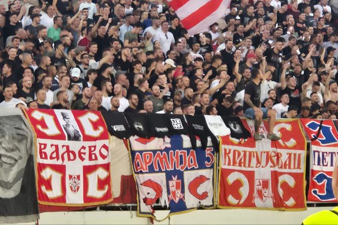 Delije, Grobari Delije, Grobari