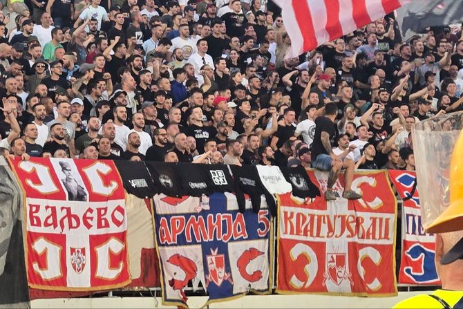 Delije, Grobari