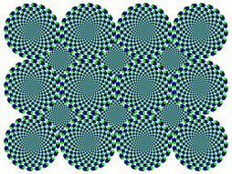 Opzička iluzija,  Fraser Wilcox illusion