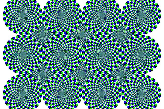 Opzička iluzija,  Fraser Wilcox illusion
