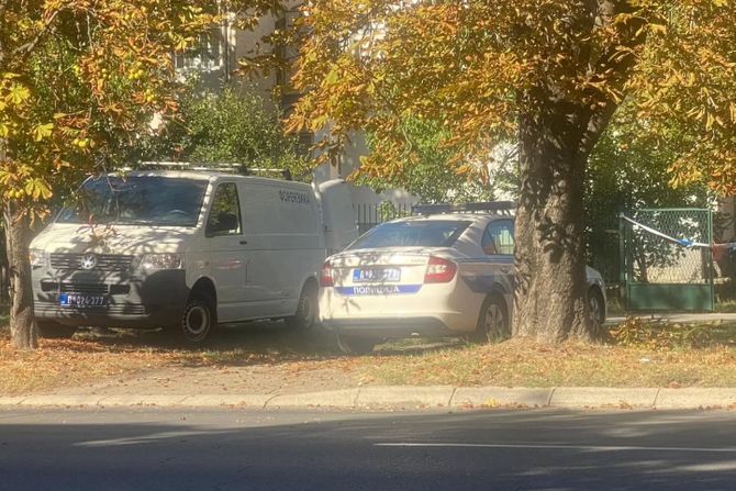 Ubistvo, Zemun, Cara Dušana