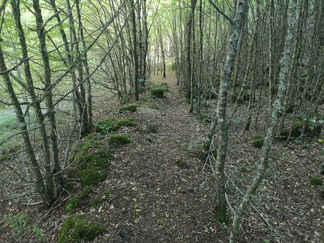 Mrtvački most, Stara planina, Toplodolska reka, Ogorelica Mrtvački most, Stara planina, Toplodolska reka, Ogorelica