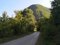 Mrtvački most, Stara planina, Toplodolska reka, Ogorelica