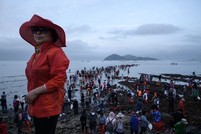 Jindo Sea Parting festival Jindo Sea Parting festival