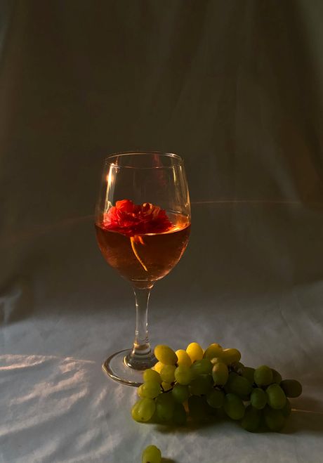 grožđe, sok vino