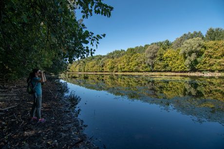 Bački Monoštor, Specijalni rezervat prirode Gornje Podunavlje Bački Monoštor, Specijalni rezervat prirode Gornje Podunavlje