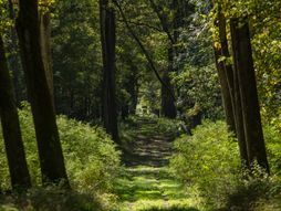 Bački Monoštor, Specijalni rezervat prirode Gornje Podunavlje