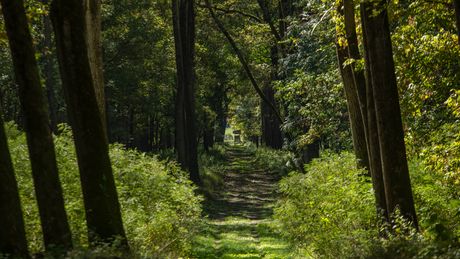 Bački Monoštor, Specijalni rezervat prirode Gornje Podunavlje