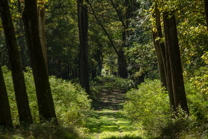 Bački Monoštor, Specijalni rezervat prirode Gornje Podunavlje