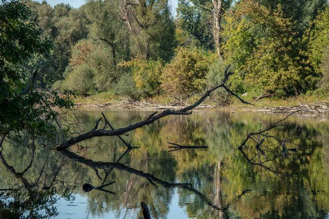 Bački Monoštor, Specijalni rezervat prirode Gornje Podunavlje