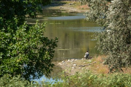 Bački Monoštor, Specijalni rezervat prirode Gornje Podunavlje Bački Monoštor, Specijalni rezervat prirode Gornje Podunavlje