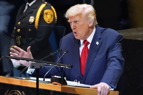 Donald Tramp Donald Tramp