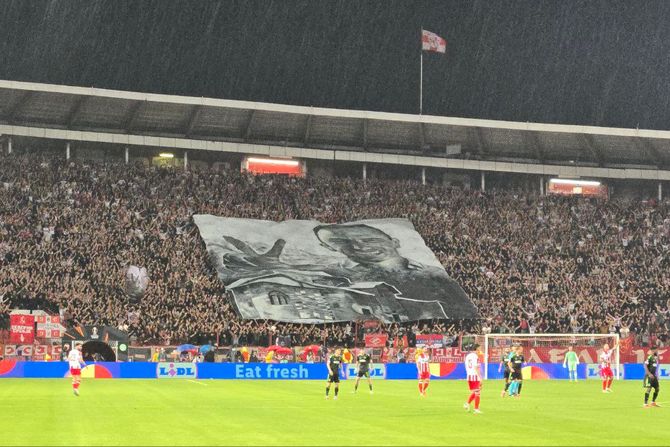 Stefan Nedeljković, koreografija