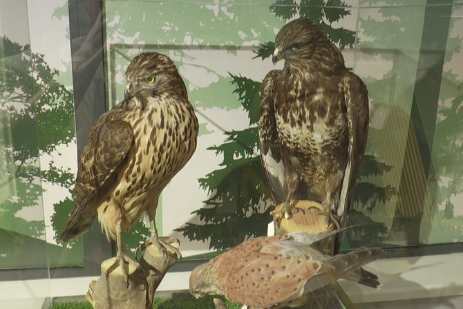 Prirodnjački centar u Ovčar Banji