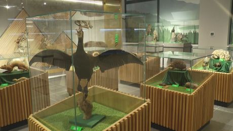 Prirodnjački centar u Ovčar Banji