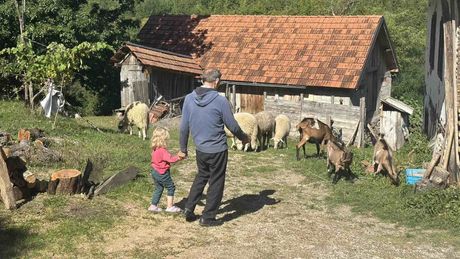 Vanja Pušica, Kosatica Vanja Pušica, Kosatica