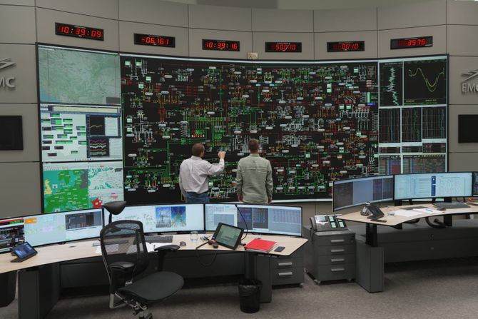 Elektromreža, EMS