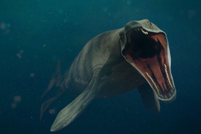 Mosasaurus