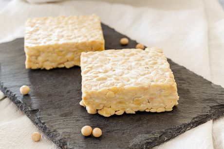tempeh tempeh