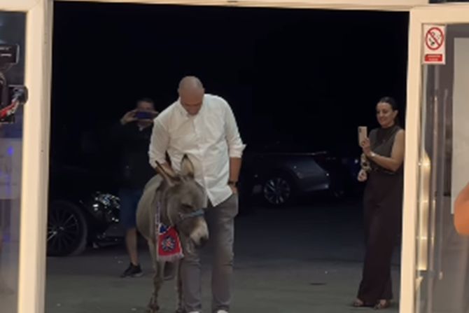 Kum doveo magarca na venčanje
