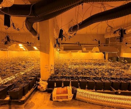 Srbi srpski državljani droga marihuana Beč Srbi srpski državljani droga marihuana Beč