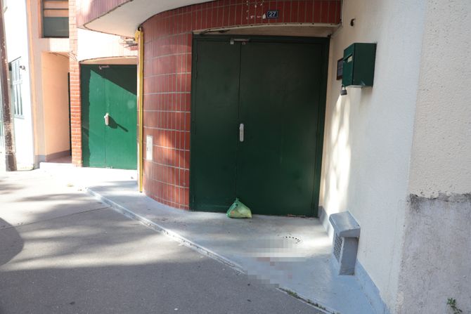 Pariz, džamija, svinjska glava