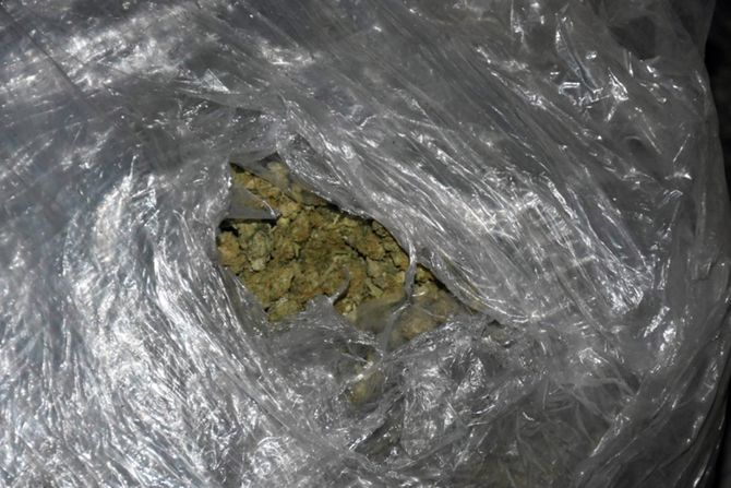 Marihuana, zaplena, Niš