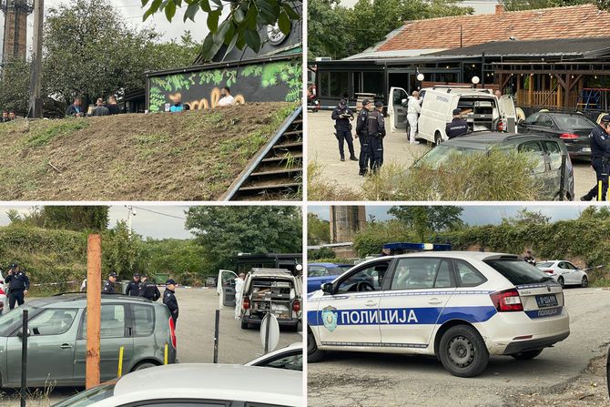 Ubistvo, pucnjava, Višnjička banja