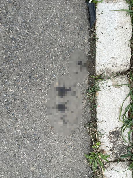 Pucnjava Višnjička banja Pucnjava Višnjička banja