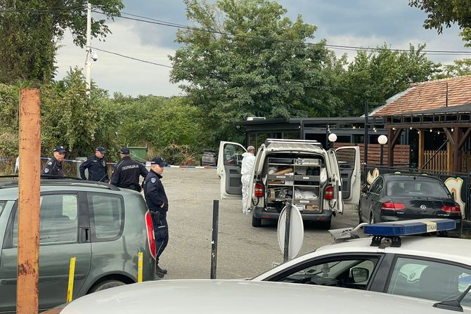 Ubistvo, pucnjava, Višnjička banja