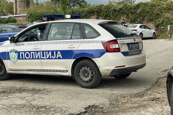 Ubistvo, pucnjava, Višnjička banja