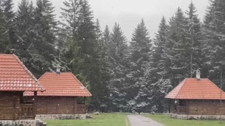 Prvi sneg, Golija