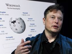 Elon Musk, Wikipedia