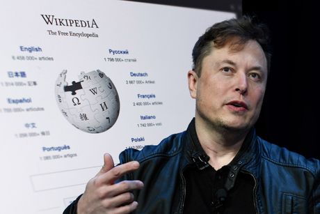 Elon Musk, Wikipedia