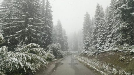 Sneg u Zlatarskom kraju