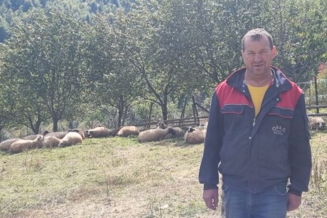 Medvedi i psi lutalice prave haos u selima kod Priboja