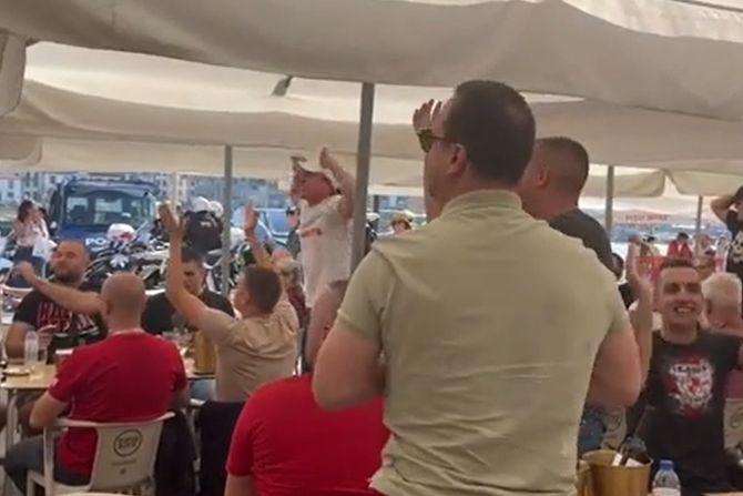 FK Crvena zvezda, navijači