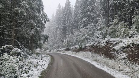 Srbija Zlatar sneg Srbija Zlatar sneg