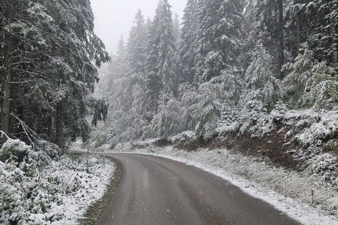 Srbija Zlatar sneg