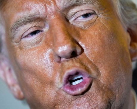 Donald Tramp Donald Tramp