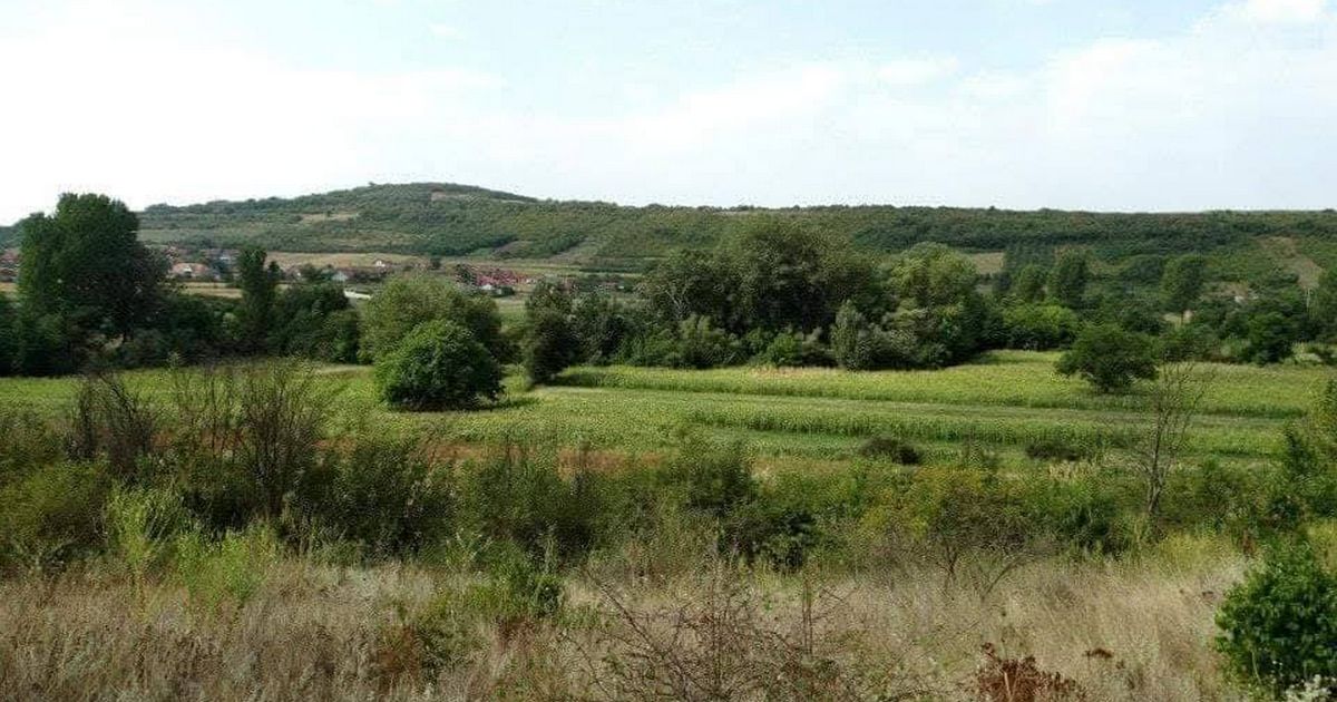 Šok otkriće u žbunju šokiralo meštane ovog srpskog grada: Neobičan fragment istorije zaintrigirao sve