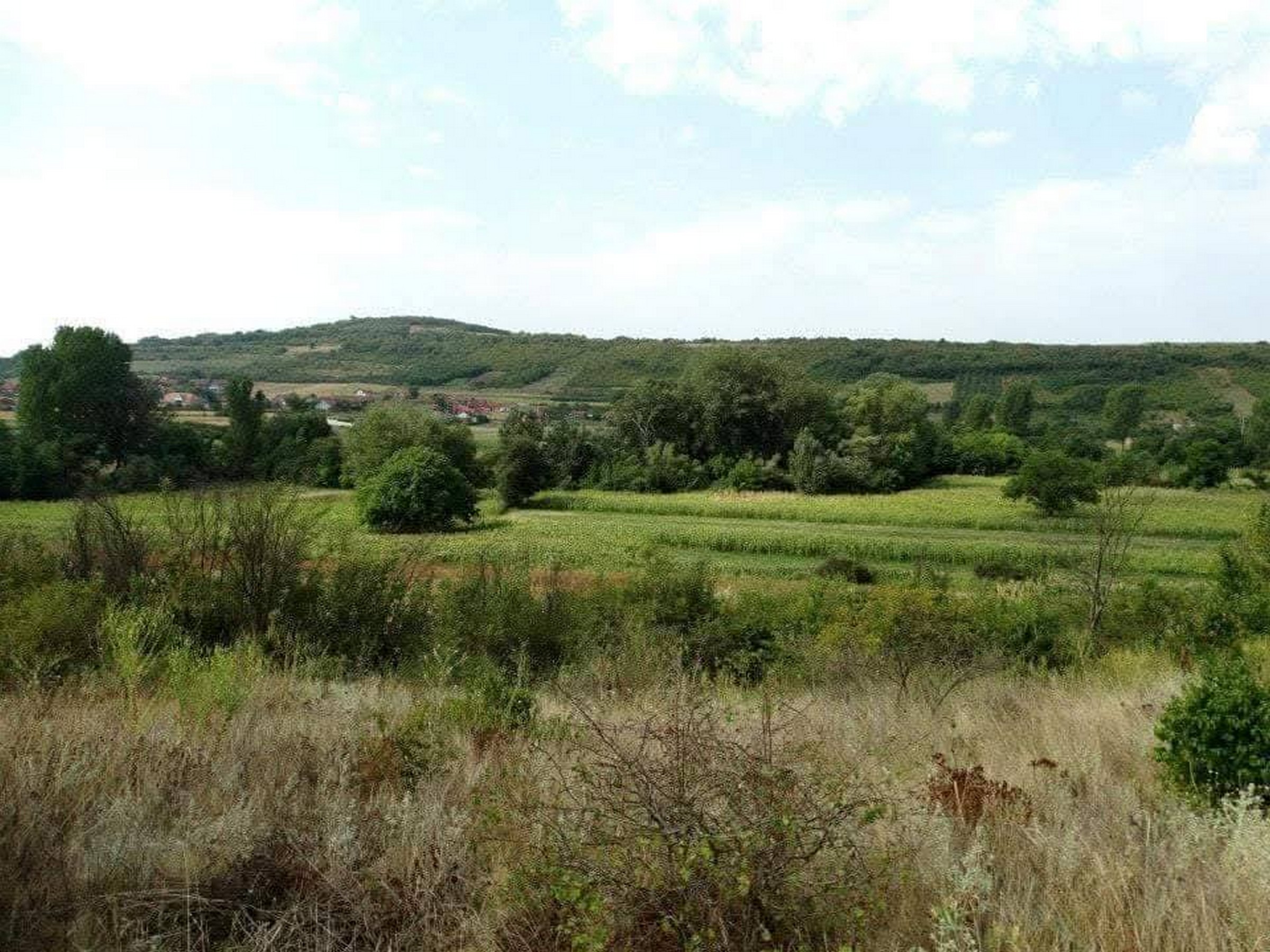 Šok otkriće u žbunju šokiralo meštane ovog srpskog grada: Neobičan fragment istorije zaintrigirao sve