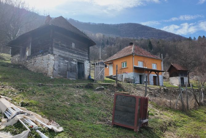 Tara, planina Tara