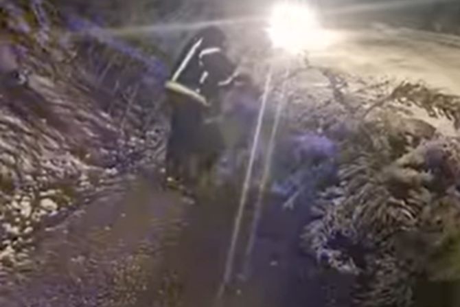 Sneg oborio drveće kod Prijepolja