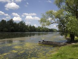 Reka, Bosut, Srem, Vojvodina